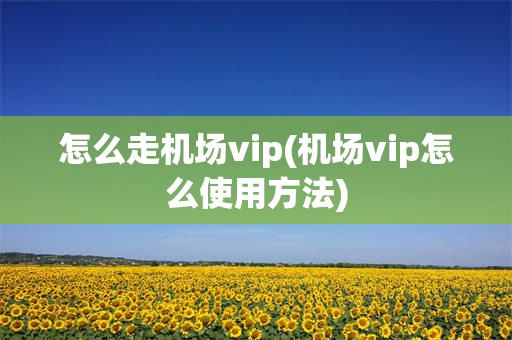 怎么走机场vip(机场vip怎么使用方法)