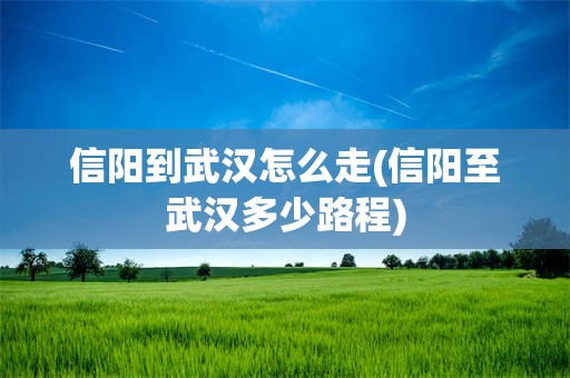 信阳到武汉怎么走(信阳至武汉多少路程)