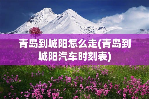 青岛到城阳怎么走(青岛到城阳汽车时刻表)