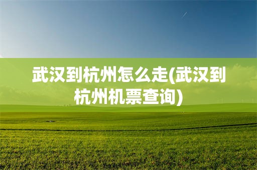 武汉到杭州怎么走(武汉到杭州机票查询)