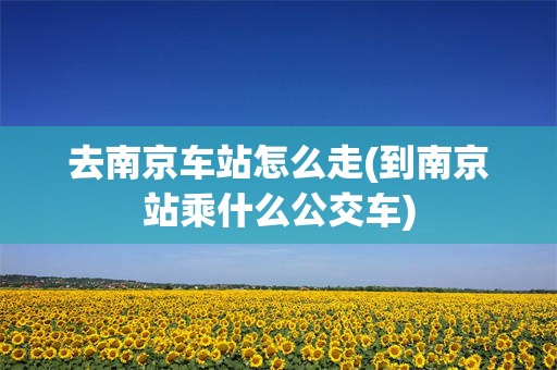 去南京车站怎么走(到南京站乘什么公交车)