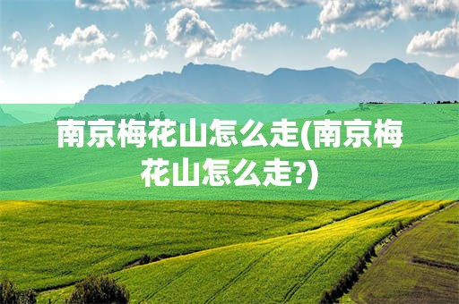 南京梅花山怎么走(南京梅花山怎么走?)