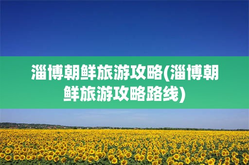 淄博朝鲜旅游攻略(淄博朝鲜旅游攻略路线)