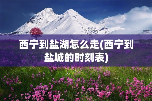 西宁到盐湖怎么走(西宁到盐城的时刻表)
