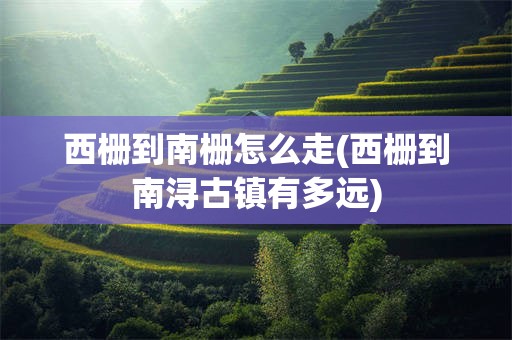 西栅到南栅怎么走(西栅到南浔古镇有多远)