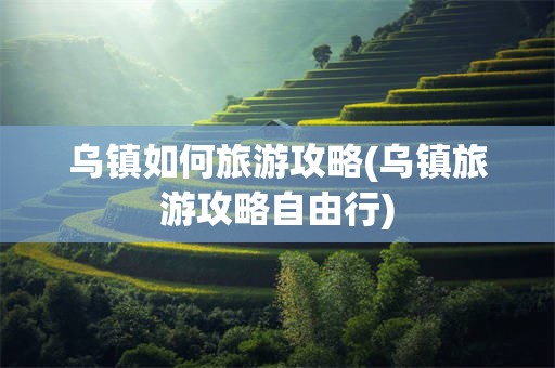 乌镇如何旅游攻略(乌镇旅游攻略自由行)