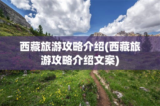 西藏旅游攻略介绍(西藏旅游攻略介绍文案)