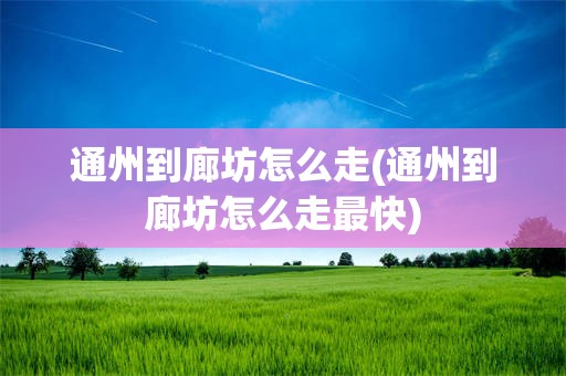 通州到廊坊怎么走(通州到廊坊怎么走最快)