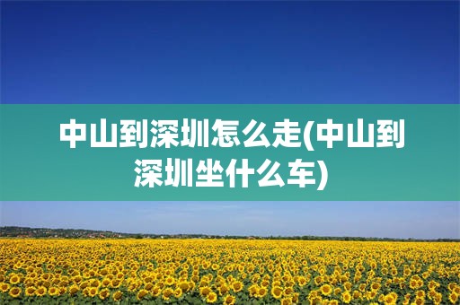 中山到深圳怎么走(中山到深圳坐什么车)