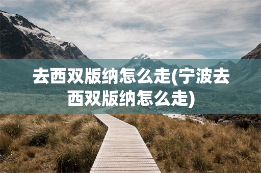 去西双版纳怎么走(宁波去西双版纳怎么走)
