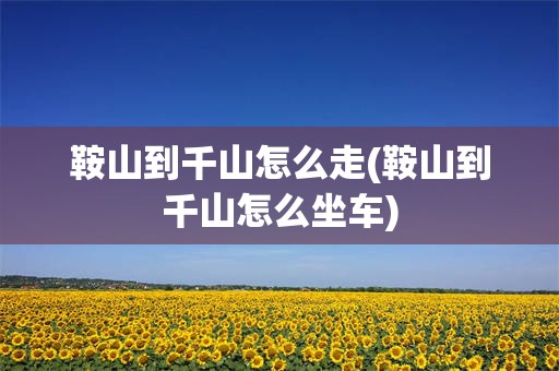 鞍山到千山怎么走(鞍山到千山怎么坐车)