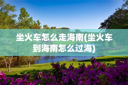 坐火车怎么走海南(坐火车到海南怎么过海)