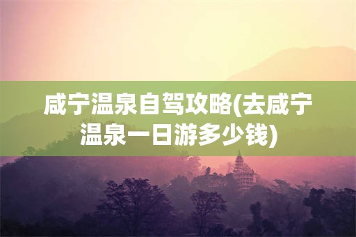 咸宁温泉自驾攻略(去咸宁温泉一日游多少钱)
