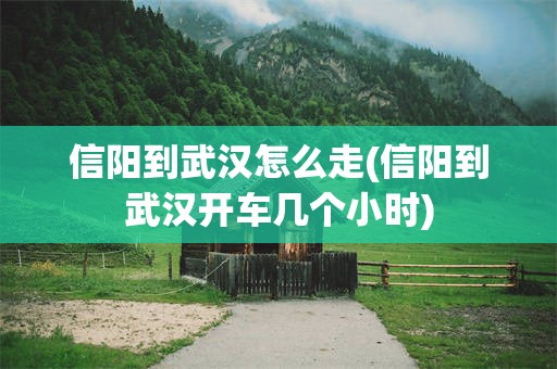 信阳到武汉怎么走(信阳到武汉开车几个小时)