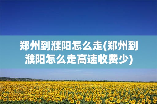 郑州到濮阳怎么走(郑州到濮阳怎么走高速收费少)