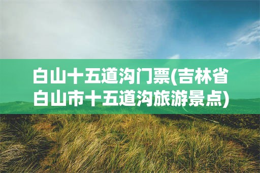 白山十五道沟门票(吉林省白山市十五道沟旅游景点)