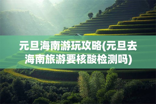 元旦海南游玩攻略(元旦去海南旅游要核酸检测吗)