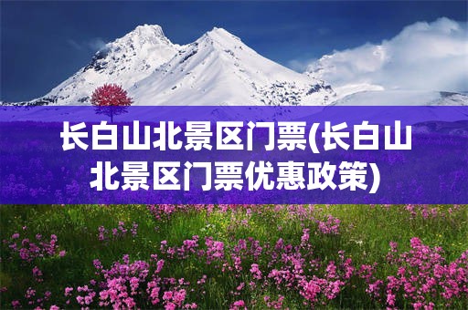 长白山北景区门票(长白山北景区门票优惠政策)