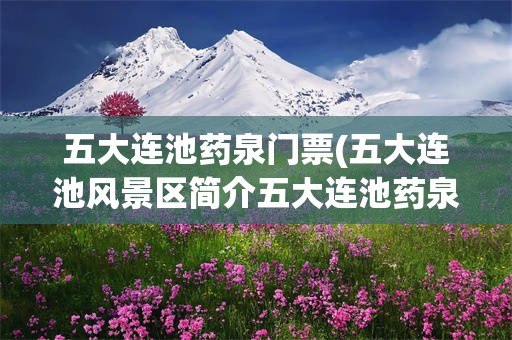 五大连池药泉门票(五大连池风景区简介五大连池药泉山)