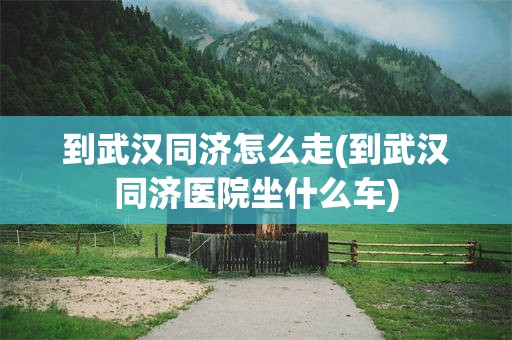 到武汉同济怎么走(到武汉同济医院坐什么车)