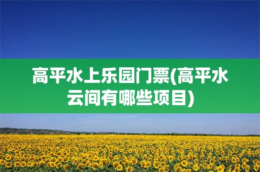 高平水上乐园门票(高平水云间有哪些项目)