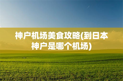神户机场美食攻略(到日本神户是哪个机场)