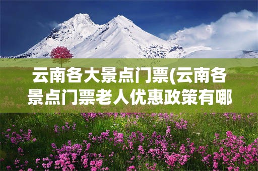 云南各大景点门票(云南各景点门票老人优惠政策有哪些)
