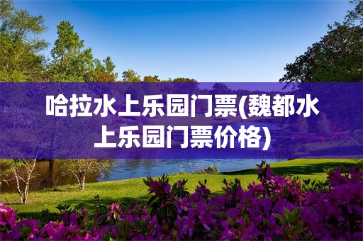 哈拉水上乐园门票(魏都水上乐园门票价格)