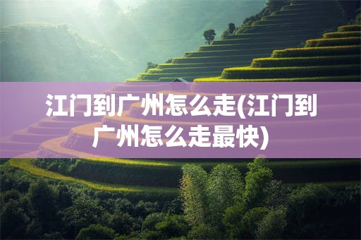 江门到广州怎么走(江门到广州怎么走最快)
