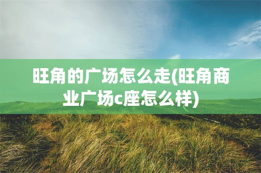 旺角的广场怎么走(旺角商业广场c座怎么样)