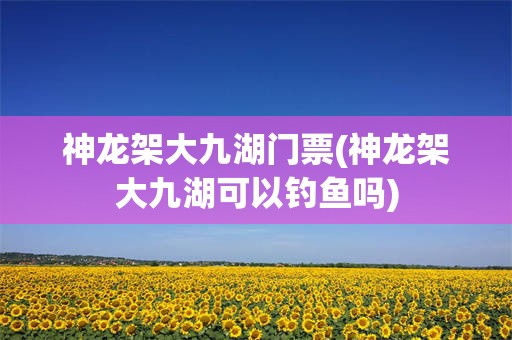 神龙架大九湖门票(神龙架大九湖可以钓鱼吗)