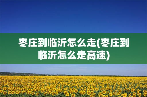 枣庄到临沂怎么走(枣庄到临沂怎么走高速)