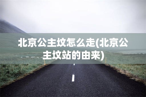 北京公主坟怎么走(北京公主坟站的由来)