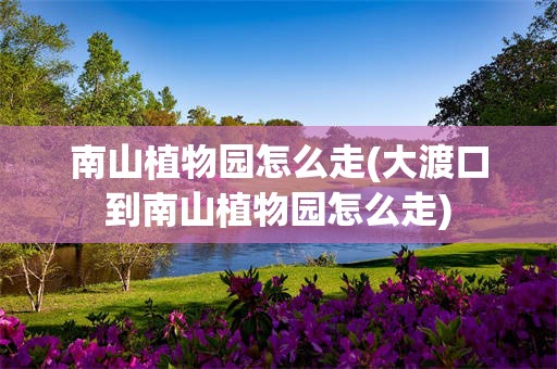 南山植物园怎么走(大渡口到南山植物园怎么走)