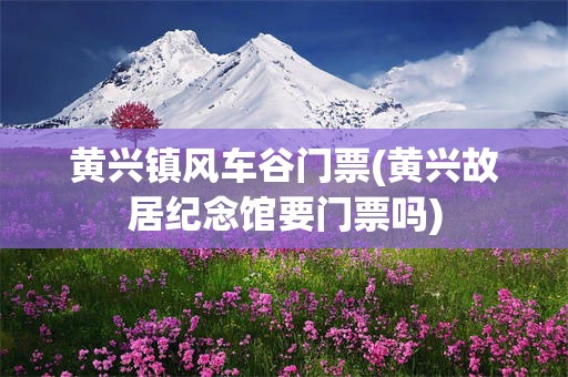 黄兴镇风车谷门票(黄兴故居纪念馆要门票吗)