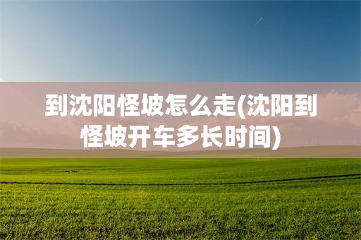 到沈阳怪坡怎么走(沈阳到怪坡开车多长时间)