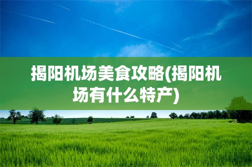 揭阳机场美食攻略(揭阳机场有什么特产)