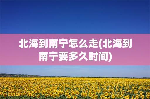 北海到南宁怎么走(北海到南宁要多久时间)