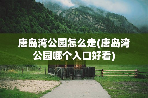 唐岛湾公园怎么走(唐岛湾公园哪个入口好看)