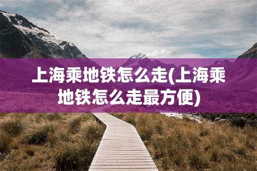 上海乘地铁怎么走(上海乘地铁怎么走最方便)
