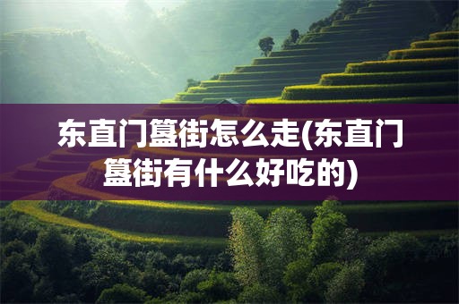 东直门簋街怎么走(东直门簋街有什么好吃的)