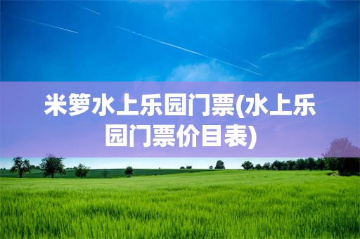 米箩水上乐园门票(水上乐园门票价目表)