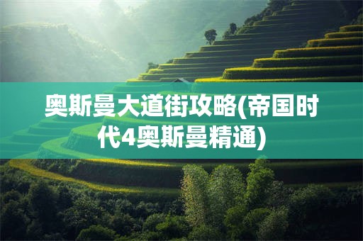 奥斯曼大道街攻略(帝国时代4奥斯曼精通)