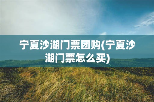 宁夏沙湖门票团购(宁夏沙湖门票怎么买)