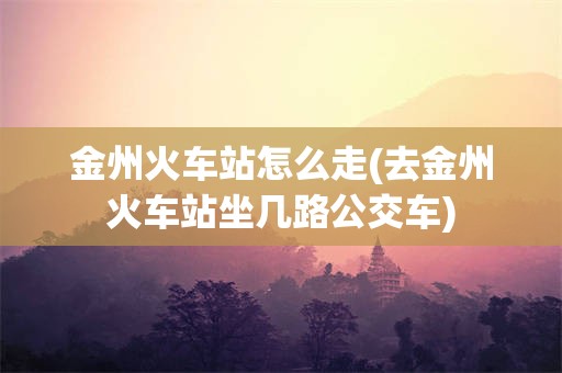 金州火车站怎么走(去金州火车站坐几路公交车)