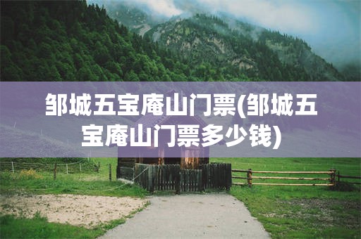 邹城五宝庵山门票(邹城五宝庵山门票多少钱)