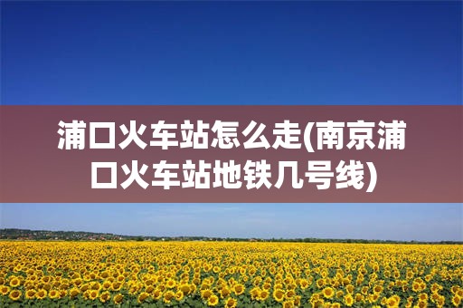 浦口火车站怎么走(南京浦口火车站地铁几号线)
