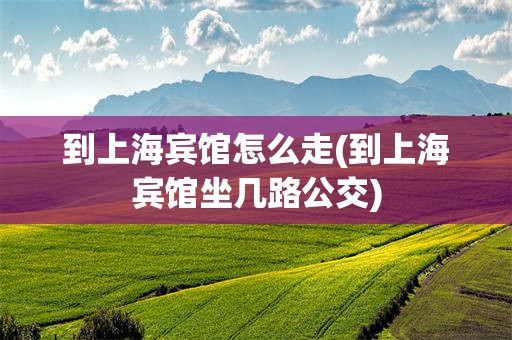 到上海宾馆怎么走(到上海宾馆坐几路公交)