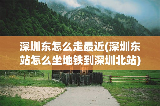 深圳东怎么走最近(深圳东站怎么坐地铁到深圳北站)