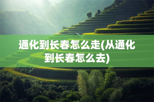 通化到长春怎么走(从通化到长春怎么去)